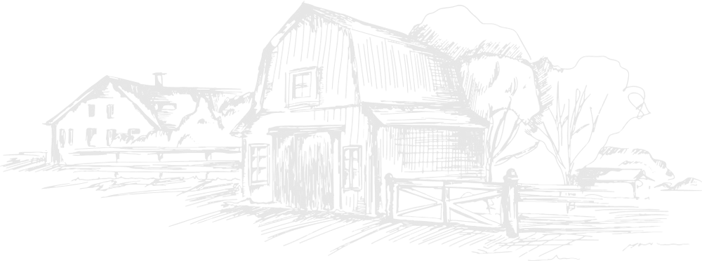 footer top